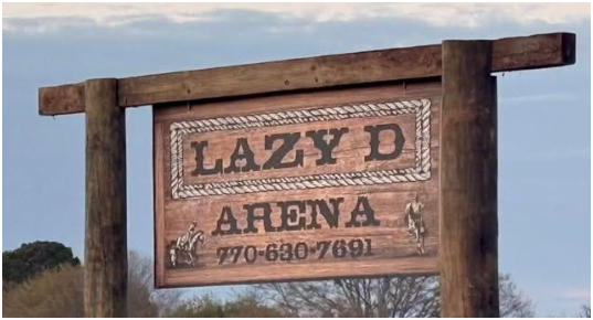 Lazy D Arena logo